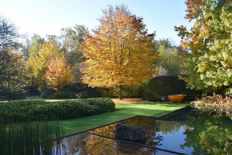 Afbeelding zonder ALT