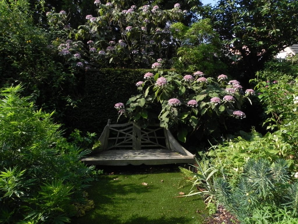 Afbeelding zonder ALT