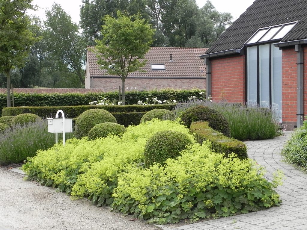 Afbeelding zonder ALT